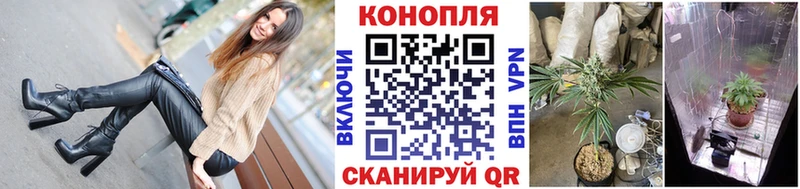 Бошки Шишки планчик  Микунь 